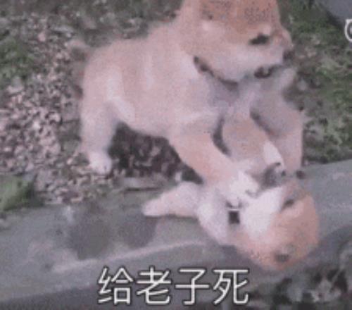 惊险对决,卢克,利特勒飞镖,2026世界杯投注,2026世界杯平台,世界杯博彩,世界杯投注,2026世界杯赔率,体育赛事投注